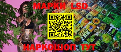 первитин Будённовск