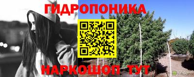 стафф Бугуруслан